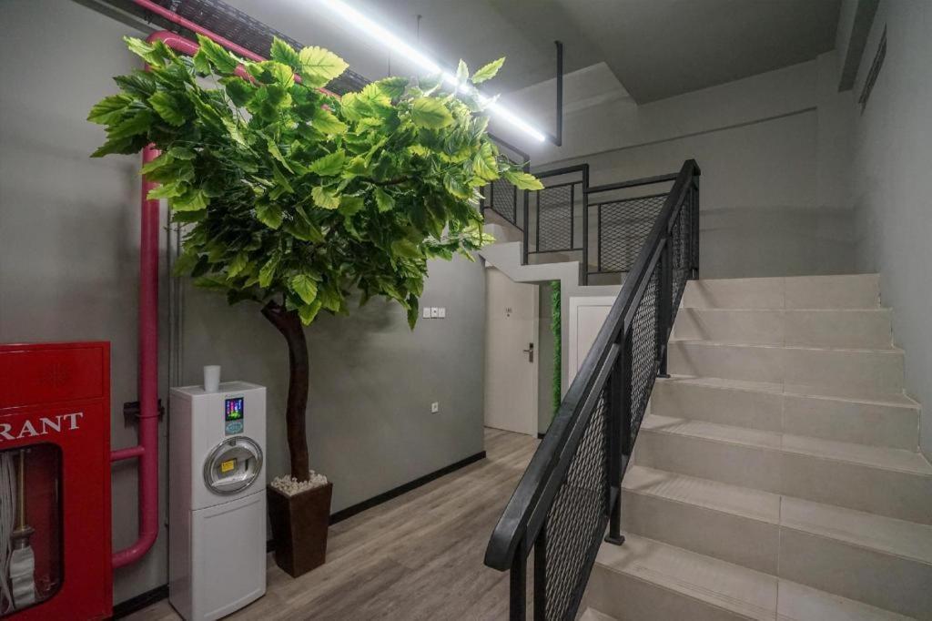 Oyo 568 Rajawali Homestay Palembang Zewnętrze zdjęcie